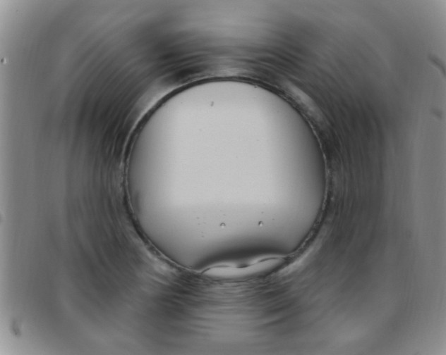 X0000097511178200803142034