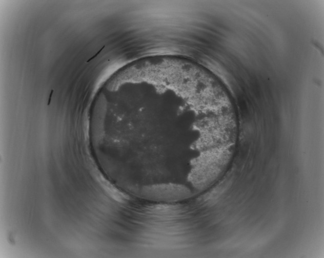 X0000097511179200803142034