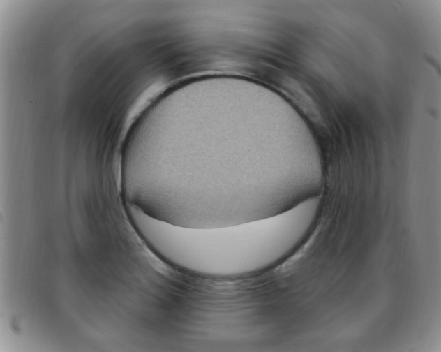 X0000097511180200803142034