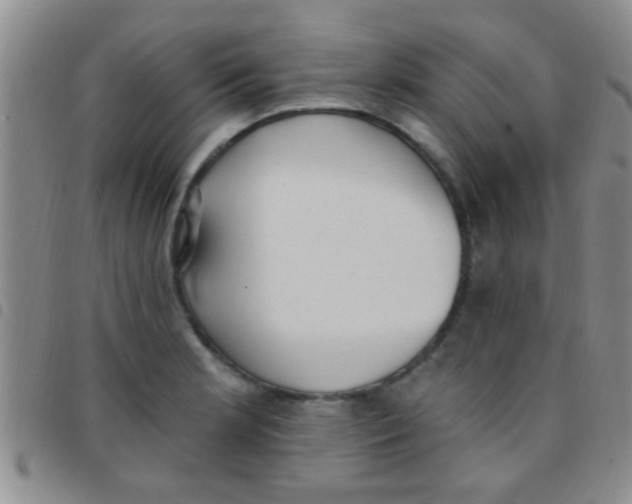 X0000097511181200803142034