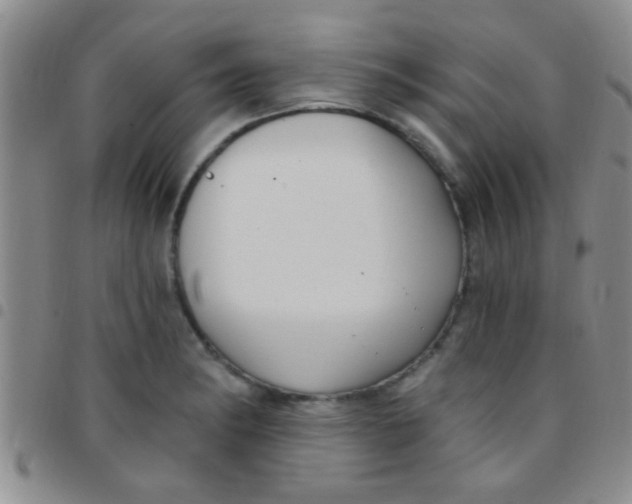 X0000097511182200803142034