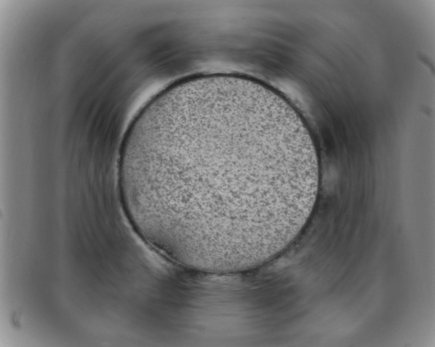 X0000097511183200803142034