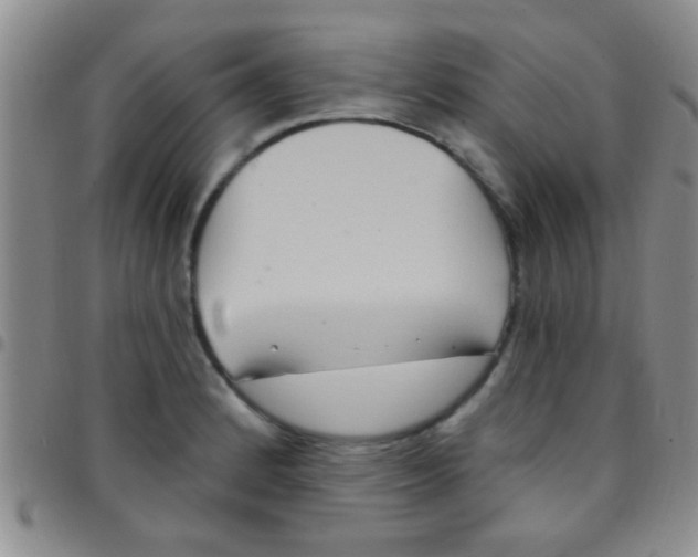 X0000097511184200803142034