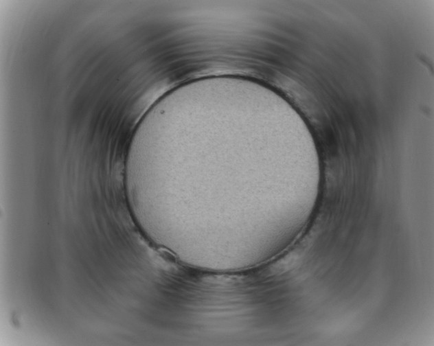 X0000097511185200803142034