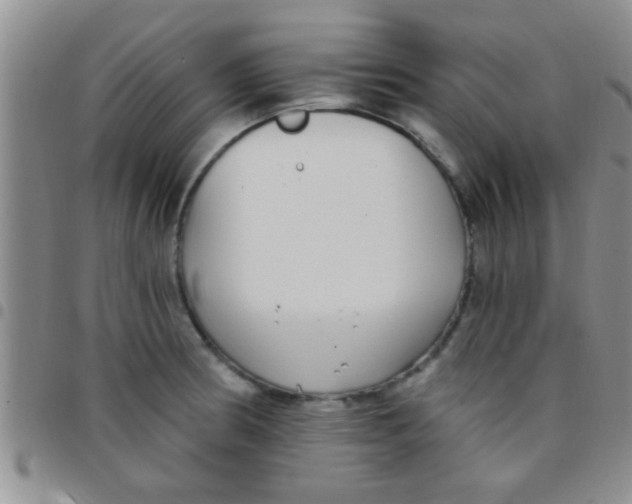 X0000097511186200803142034