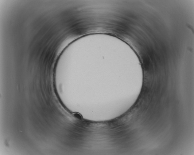 X0000097511187200803142034