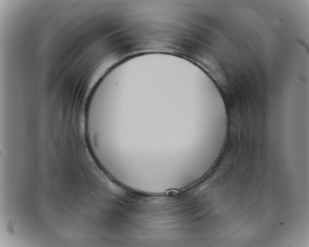 X0000097511188200803142034