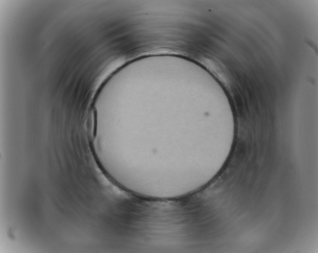 X0000097511189200803142034