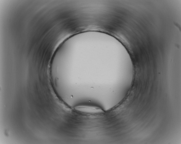 X0000097511190200803142034