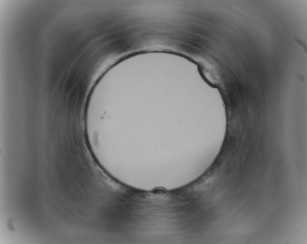 X0000097511191200803142034