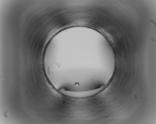 X0000097511192200803142034