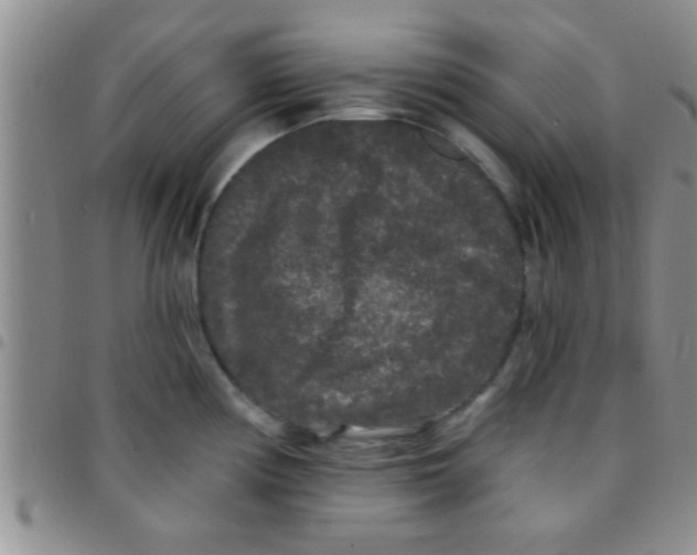 X0000097511194200803142034