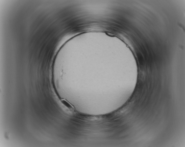 X0000097511195200803142034