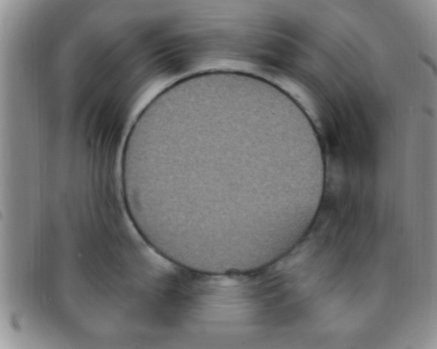 X0000097511199200803142034