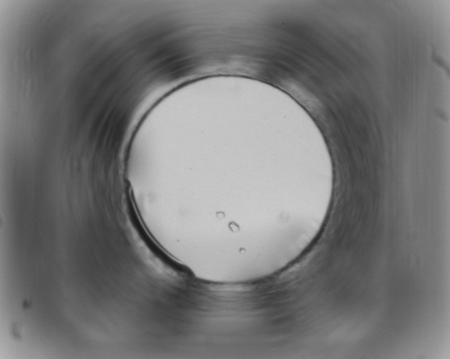 X0000097511200200803142034