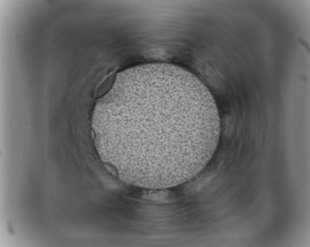 X0000097511201200803142033