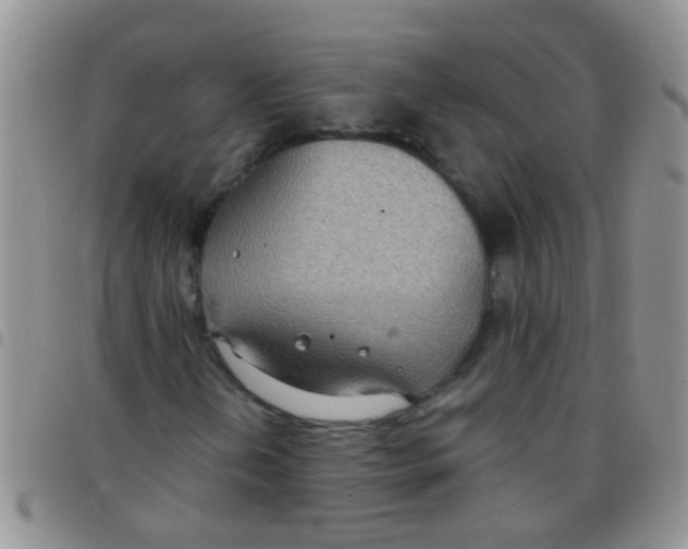 X0000097511202200803142033