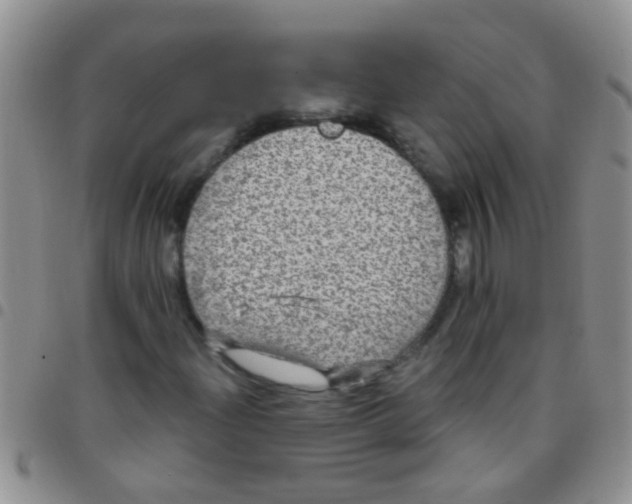 X0000097511204200803142033