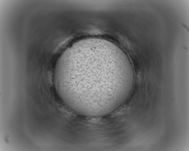 X0000097511205200803142033