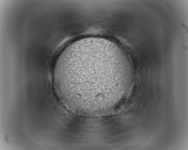 X0000097511206200803142033