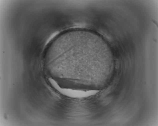 X0000097511208200803142034