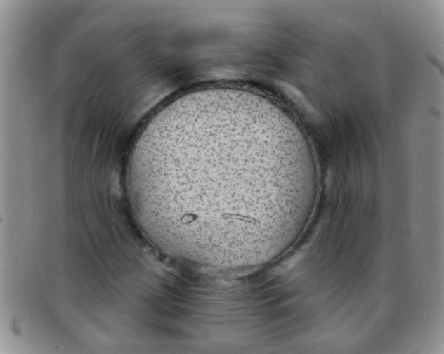 X0000097511209200803142034