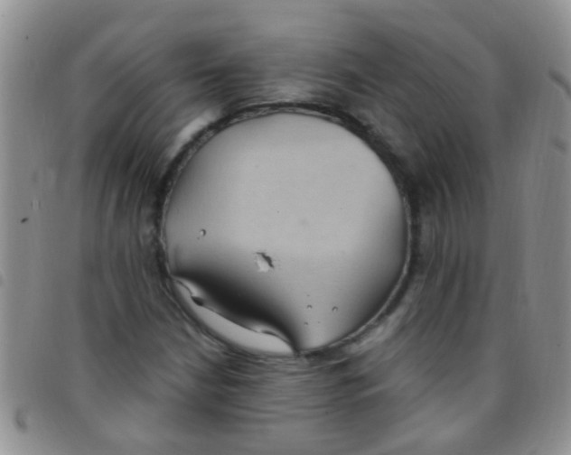 X0000097511210200803142034