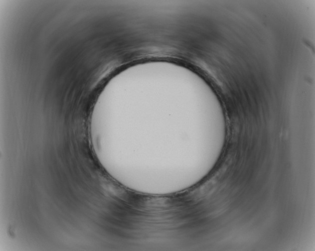 X0000097511211200803142034