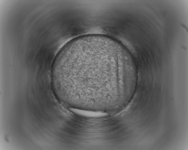 X0000097511212200803142034