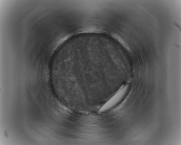 X0000097511213200803142034