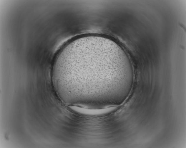 X0000097511214200803142034