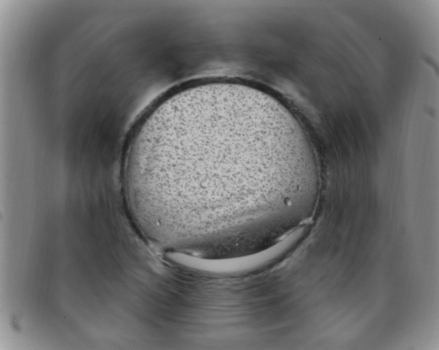 X0000097511216200803142034