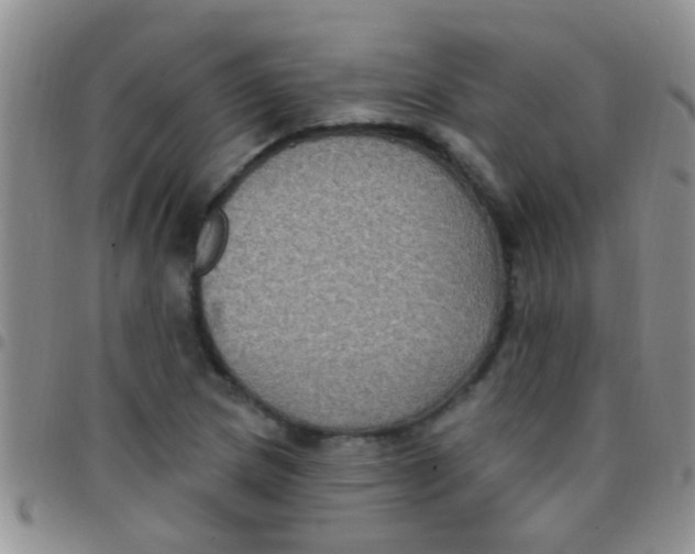 X0000097511217200803142034