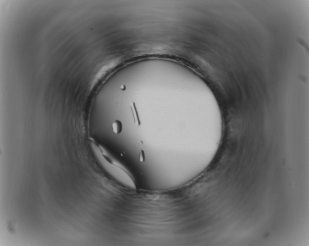 X0000097511218200803142034