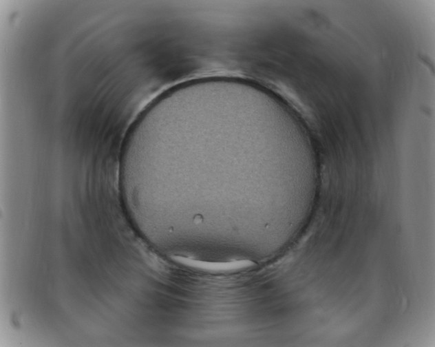 X0000097511220200803142034