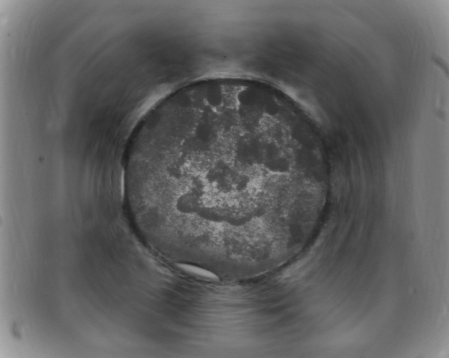 X0000097511221200803142034