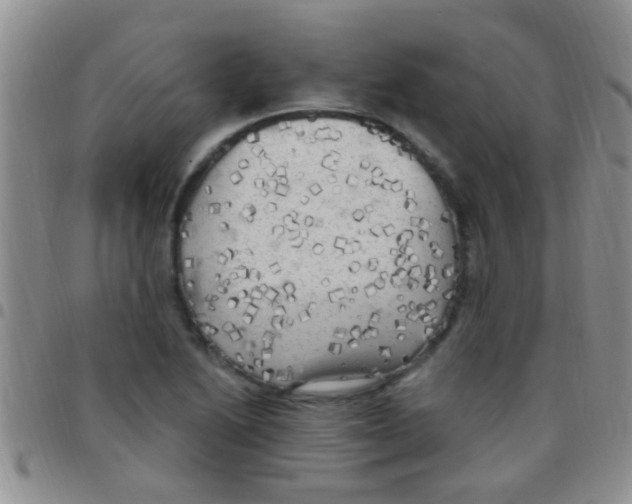 X0000097511222200803142034