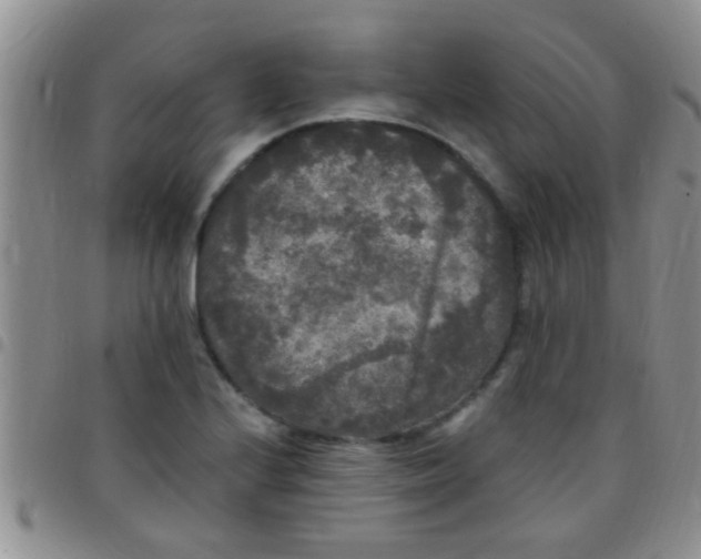 X0000097511224200803142034