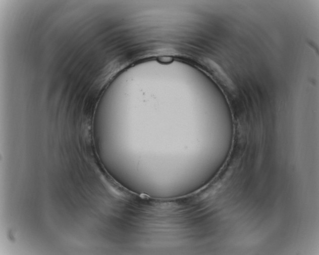 X0000097511225200803142034