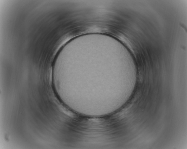 X0000097511227200803142034