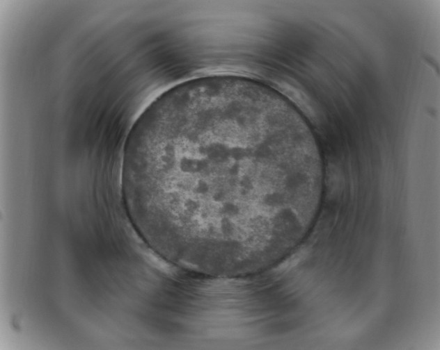 X0000097511228200803142034