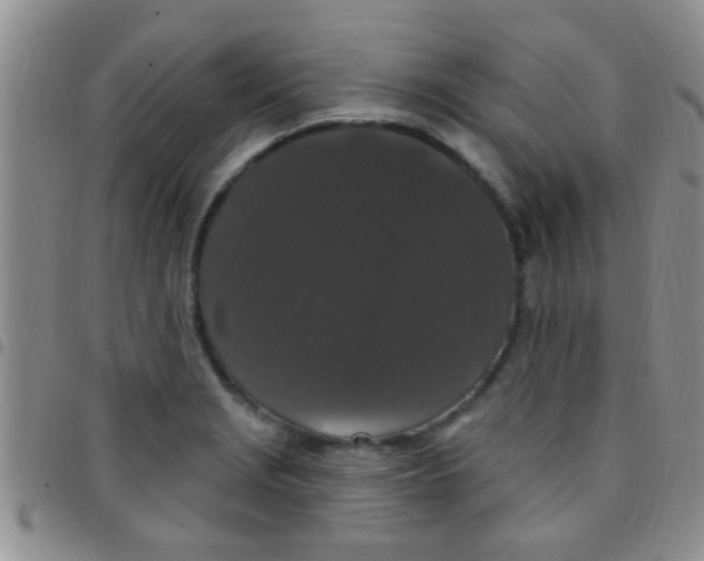 X0000097511229200803142034