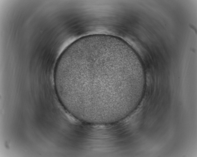 X0000097511230200803142034