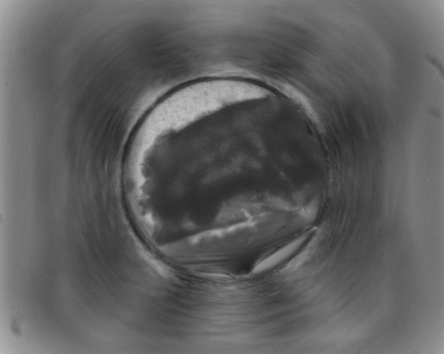 X0000097511231200803142034