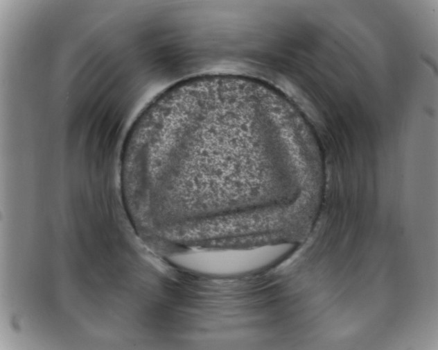 X0000097511232200803142034