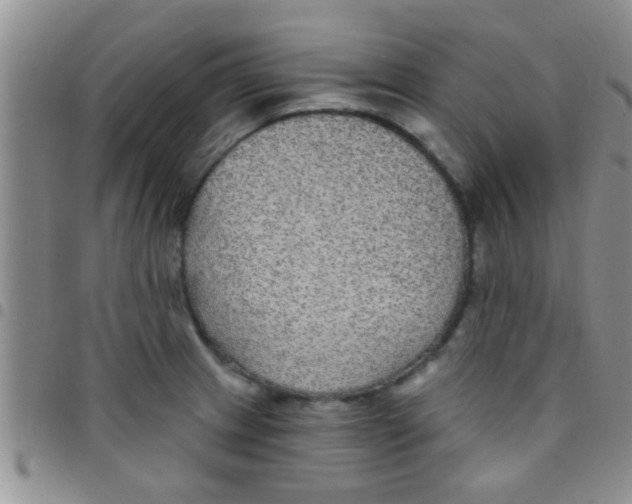 X0000097511233200803142034