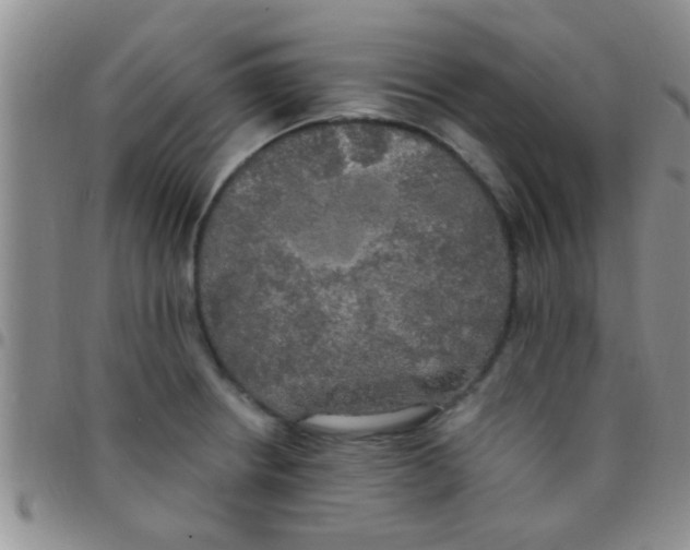 X0000097511234200803142034