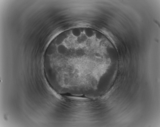 X0000097511235200803142034