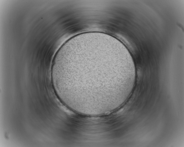 X0000097511236200803142034