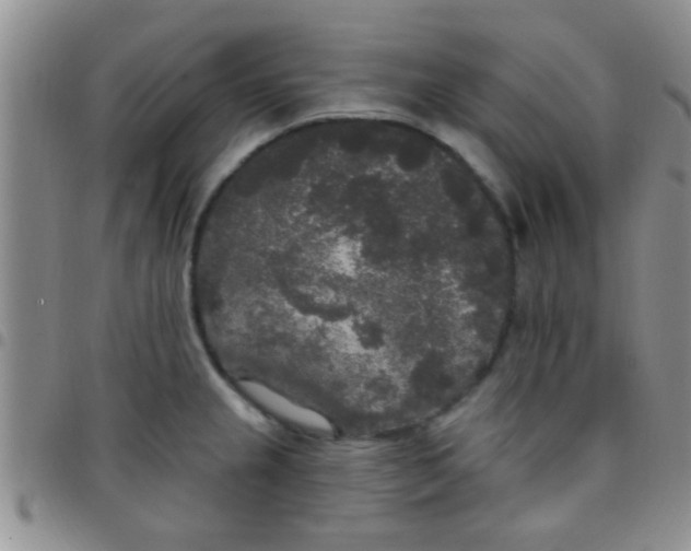 X0000097511237200803142034